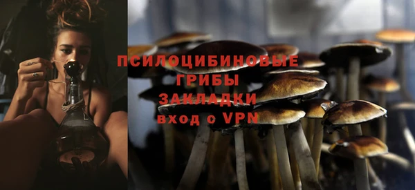 мяу мяу мука Михайловск